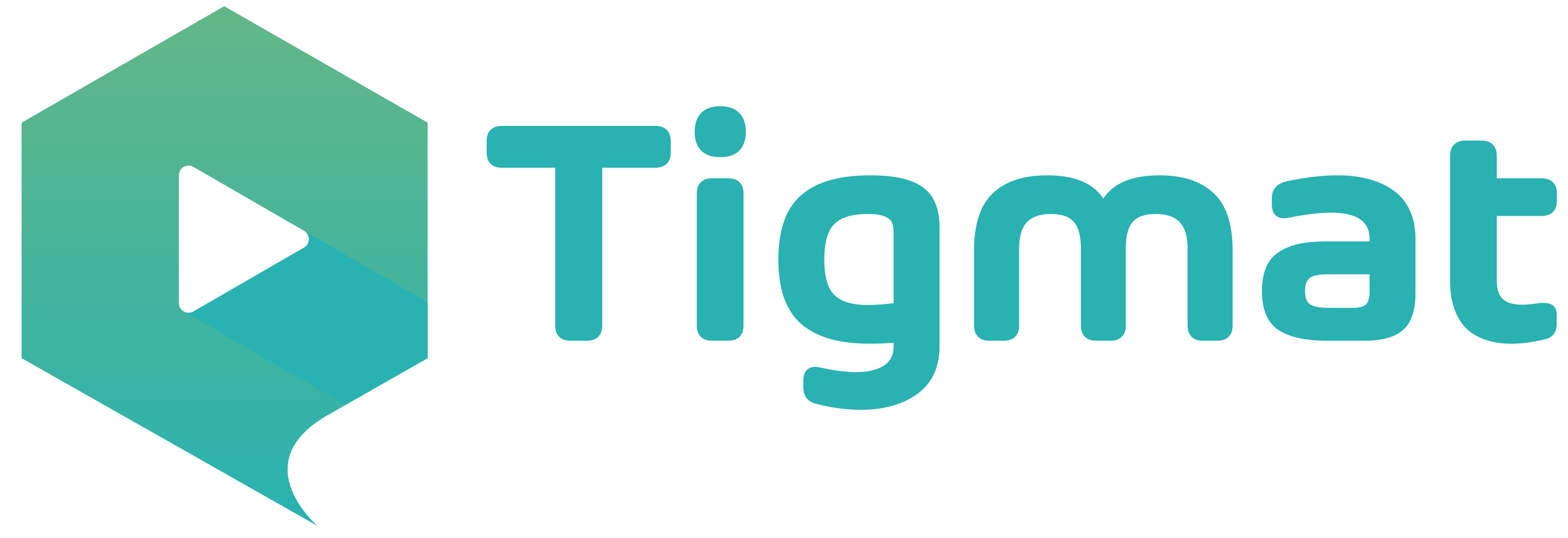 Tigmat logo